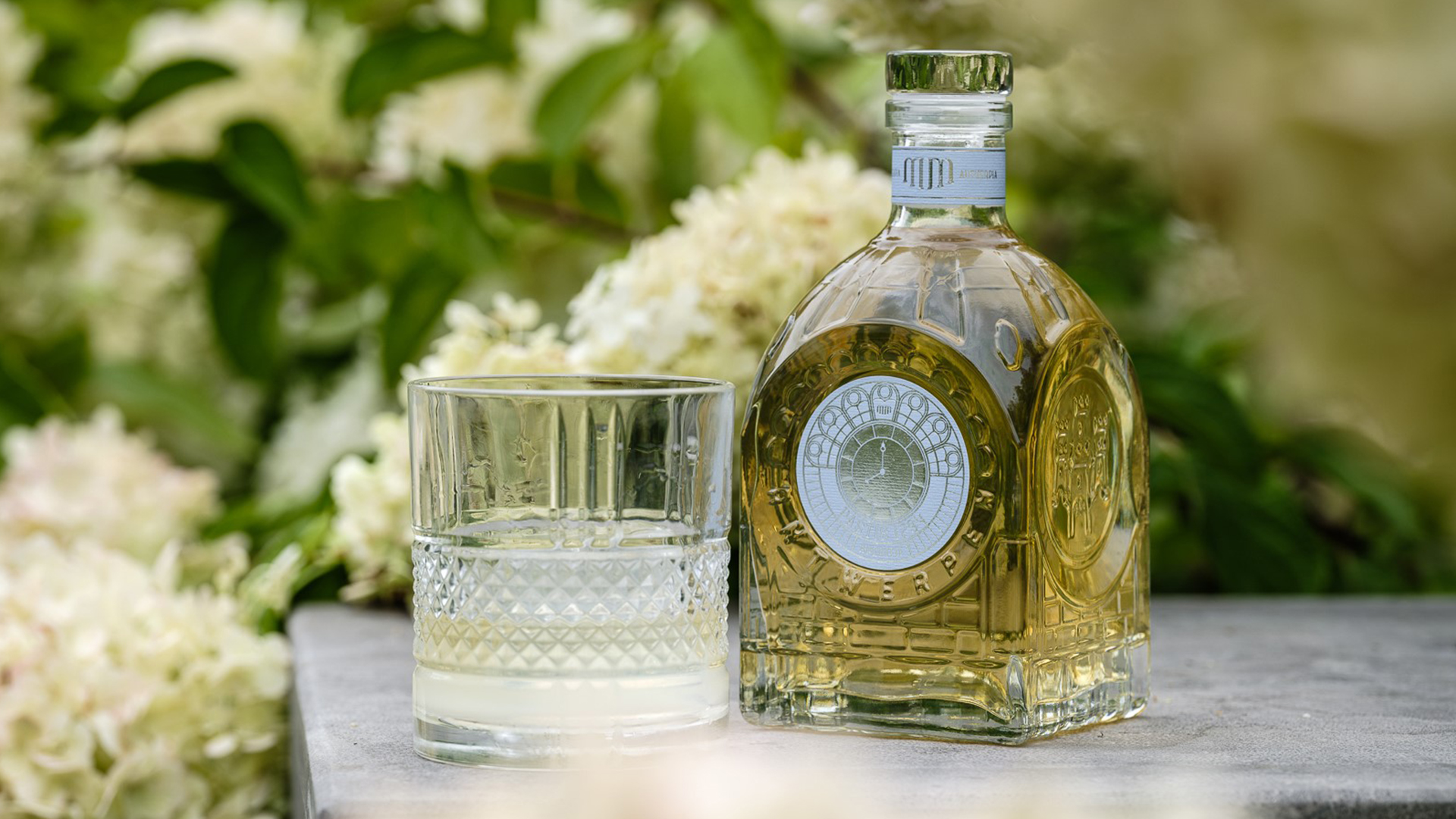 MM Antverpia・Pastis 1794 Belartisan