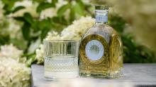 MM Antverpia Pastis 1794 bouteille en verre 500 ml spiritueux