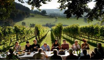 Belgische wijn Pietershof oogst limburg voerstreek degustatie
