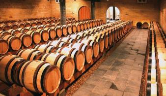 Belgische wijn Wijnkasteel Genoels-Elderen limburg wijnkelder eiken vaten
