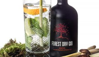  Forest Dry Gin winter