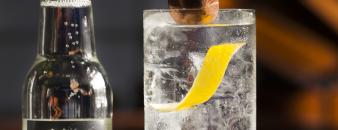 Erasmus Bond Botanical Gin-Tonic