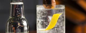 Erasmus Bond Botanical Gin-Tonic