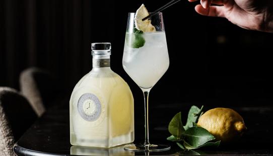 MM Antverpia Limoncello 1520 bouteille en verre 500 ml image