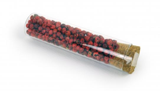 Épices pour gin - Poivre rose 10 g tube