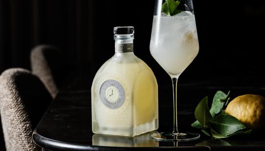 MM Antverpia Limoncello 1520 glazen fles 500 ml sterke drank