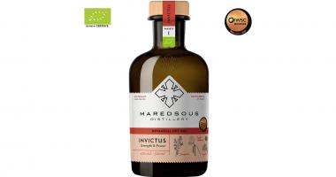 Abbaye de Maredsous Gin Invictus bouteille de gin en verre 500 ml